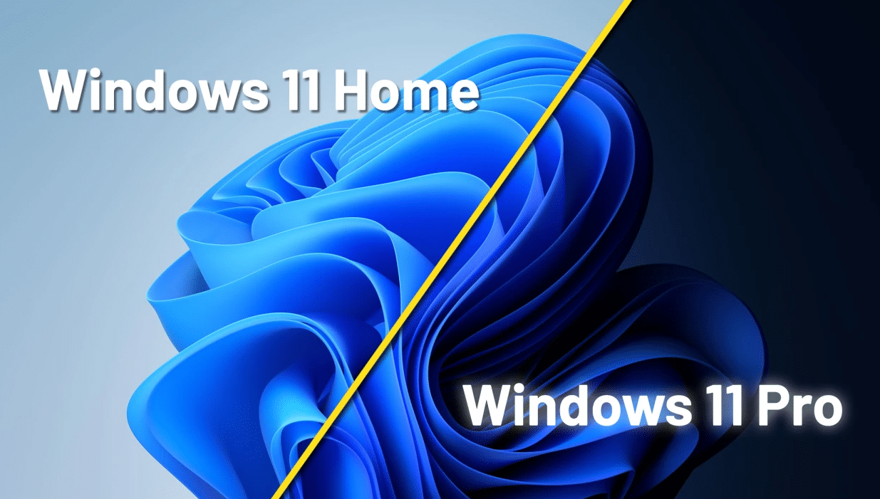 windows 11 pro vs home